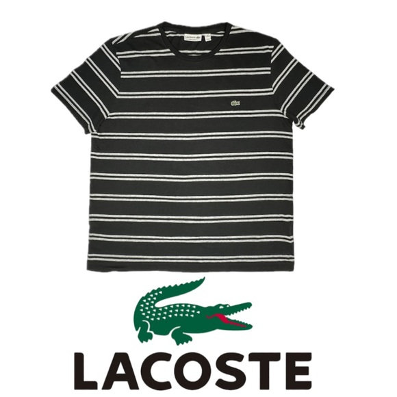 LACOSTE | Men’s Classic Fit Cotton Striped Crew Neck T- Shirt Top Size XL - Picture 3 of 13